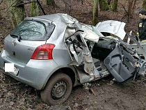 Под Балтийском автомобиль вылетел с дороги, перевернулся и врезался в дерево
