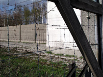 Калининградец получил 11 лет за кражи продуктов и избиение до смерти знакомого