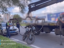 В Калининграде распоясались питбайкеры