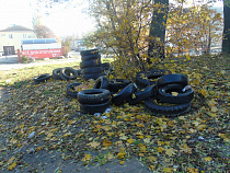 Фотофакт: в Калининграде появляются стихийные свалки автомобильных покрышек