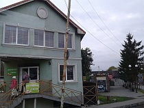 Жителя Гвардейска поймали на незаконной вырубке ели