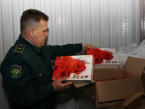В Калининградской области  изъяли  763 кг конфет