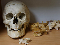 Смертность от болезней кровообращения превысила 60% (инфографика)