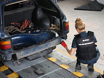 Россиянин пытался убедить таможенников, что ему подбросили 50 тысяч сигарет