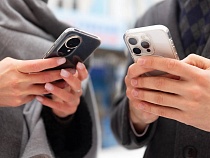 Калининградцы вошли в число самых активных пользователей ИИ на Северо-Западе