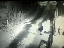 В Калининграде на видео сняли массовую драку в «Золотом петушке»