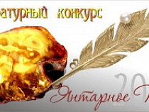 В Калининграде стартовал XV творческий конкурс среди детей и подростков "Янтарное перо"