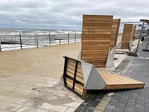 Против «расстрельных» вертикальных лавок в Зеленоградске собирают подписи