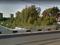 Фирма Качановича вырубит деревья в Рыбной деревне-2