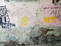 Москва показала всей России атаку на граффити в Калининграде