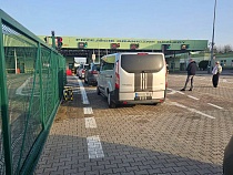 В Калининградскую область не пустили 160 кг фруктов, овощей, ягод и семян