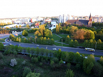 Мэра не устраивает санитарное состояние Калининграда