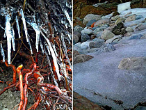 Елена Дятлова рассказала о самом страшном