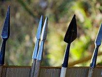 Полиция нашла дома у калининградского стрелка арбалет со стрелами