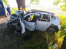 Под Гусевом внедорожник врезался в дерево, водитель погиб