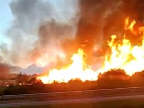 В регионе с 26 апреля установят особый противопожарный режим