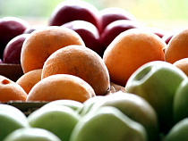 Калининградец испортил фирме из большой России фрукты почти на 1 млн рублей