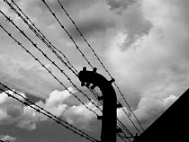 Двое жителей Мамоново получили по 10 лет тюрьмы за жестокое избиение приятеля