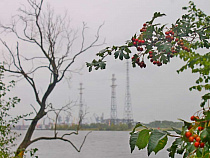 Что случилось 24 августа 2016 года: атлет и допинг, ЧП в агросекторе, кладбище автобусов Сергея Донских и звёзды кино в Светлогорске