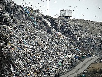 Власти объяснили рост тарифа на вывоз мусора в Калининградской области