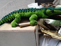 Девушку из Балтрайона поймали на краже еды и детских товаров