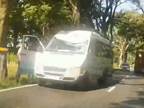 «Повезло»: на балтийской трассе на маршрутку упало дерево 