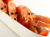 В регион не пустили почти 70 тонн креветок из Эквадора 