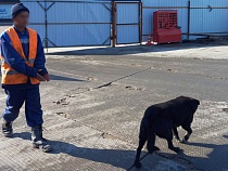 В Калининграде штрафуют топового застройщика