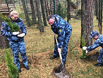 Сотрудники УФСИН провели посадки на косе (фото)