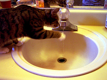 Иск в суд подстегнул Озерский водоканал вернуть воду в жилой дом