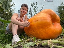 В Калининградской области раскрыли секрет борьбы со слизнями