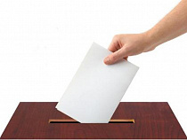 Калининградцы неохотно идут на выборы 