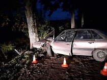 Нетрезвый водитель въехал в дерево (видео)