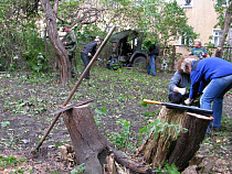 Где будут убираться чиновники на субботнике в Калининграде 20 апреля 2019 года