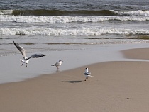 На выходные в Калининградской области дан смешанный прогноз погоды