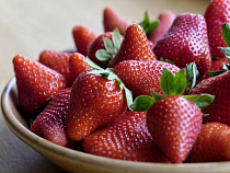 В Калининградской области будут производить фруктовую пастилу