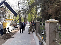 На улице Комсомольской делают живую изгородь 