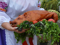 В МЧС допустили распространение африканской чумы свиней под Нестеровым