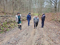 К дому участника СВО в лесу под Неманом сделают дорогу 