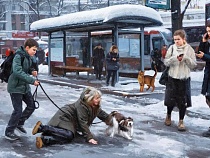 Народ в Калининграде приспосабливается ко льду