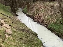 Немецкий ручей в Калининграде стал белее смерти