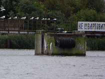 Что случилось 7 сентября: морпех и 200 “найденных в лесу” патронов, Зиничев и светлогорский “стакан”, гибель двух калининградцев в Норвегии и первый самолёт из Храброво в Турцию