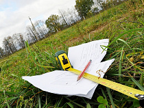 Лесное агентство отбирает у калининградского предприятия «Бальга-Тур» 2,8 га леса