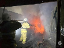 В Балтийске не дали прожариться прежде времени 15 курицам