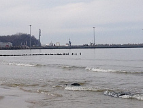 Следственное управление: замглавы Пионерского получил взятку в 160 тысяч рублей 