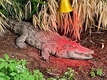 Узнав больше о природе, калининградцы могут выиграть поездку в Московский зоопарк