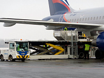 В «Храброво» появилась контейнерная загрузка багажа