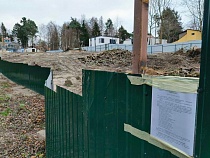 На выходных Светлогорску втихаря срезали зелёную зону