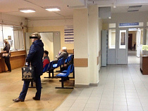 За неделю в Калининградской области от укусов клещей пострадали 16 человек