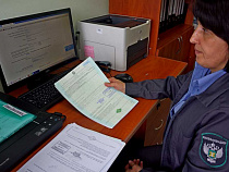 В Калининградской области у коров и свиней выявлено заболевание, поражающее сосуды, печень, почки и нервы 